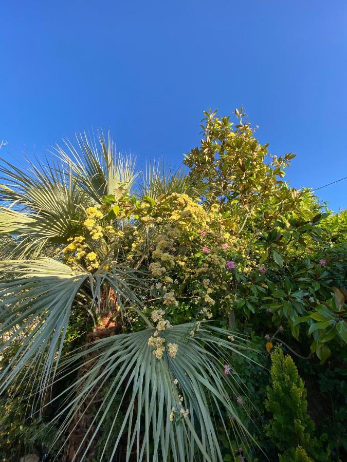 Trulli And Nature Antonelli Exterior photo