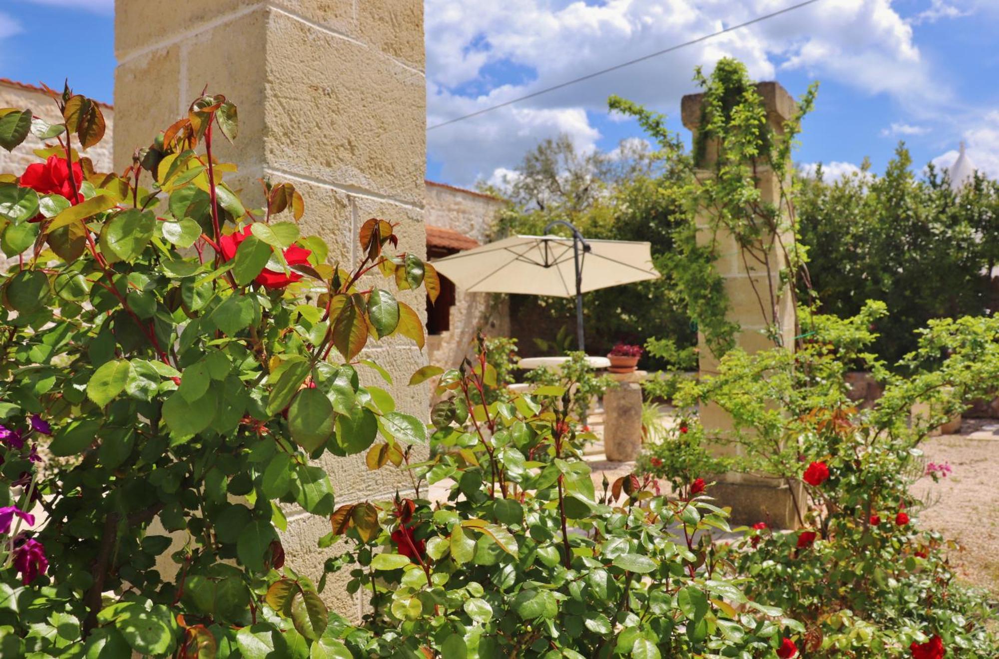 Trulli And Nature Antonelli Room photo