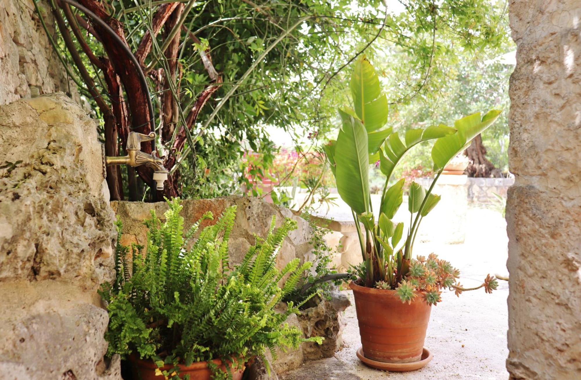 Trulli And Nature Antonelli Room photo