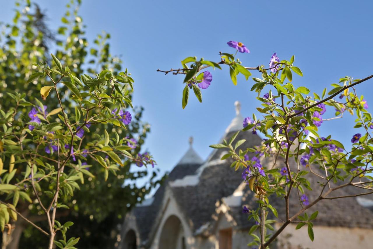 Trulli And Nature Antonelli Exterior photo