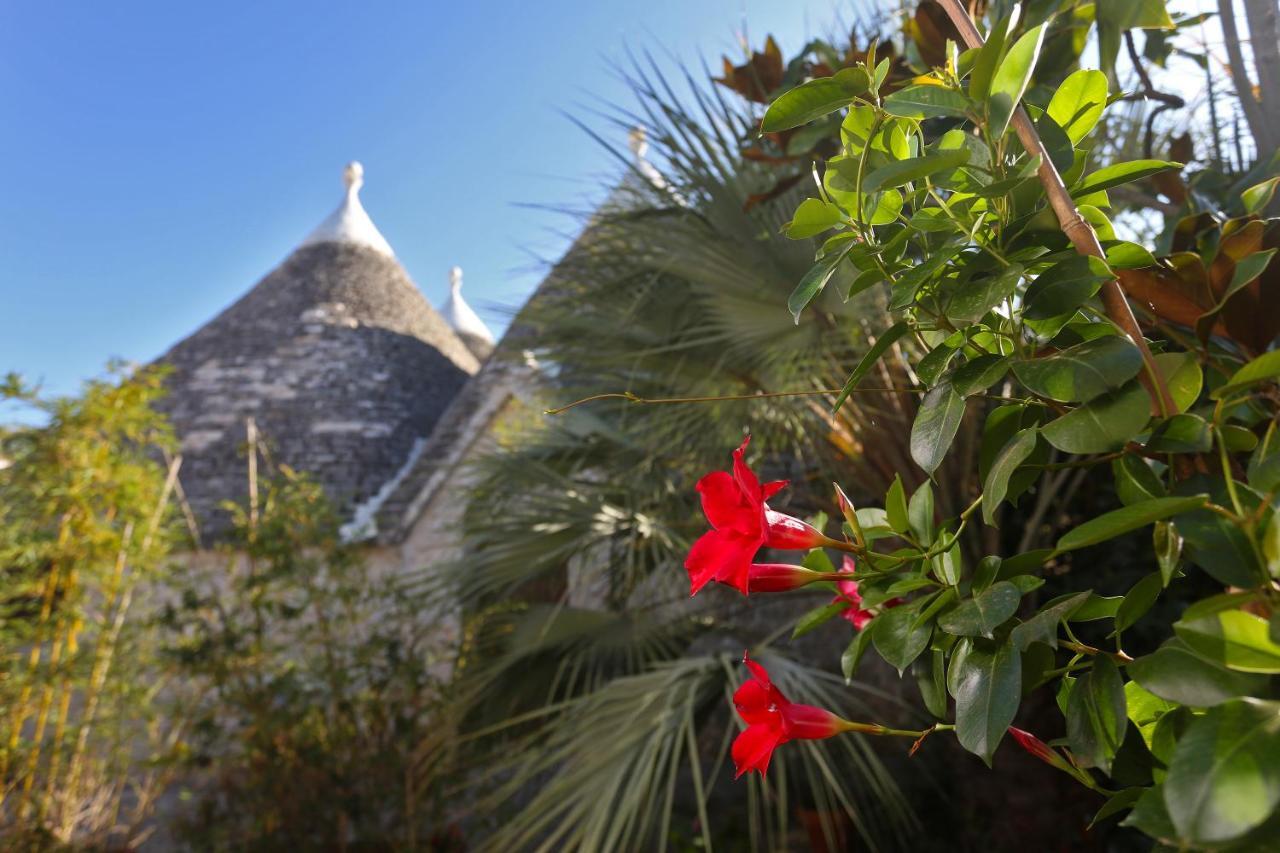 Trulli And Nature Antonelli Exterior photo